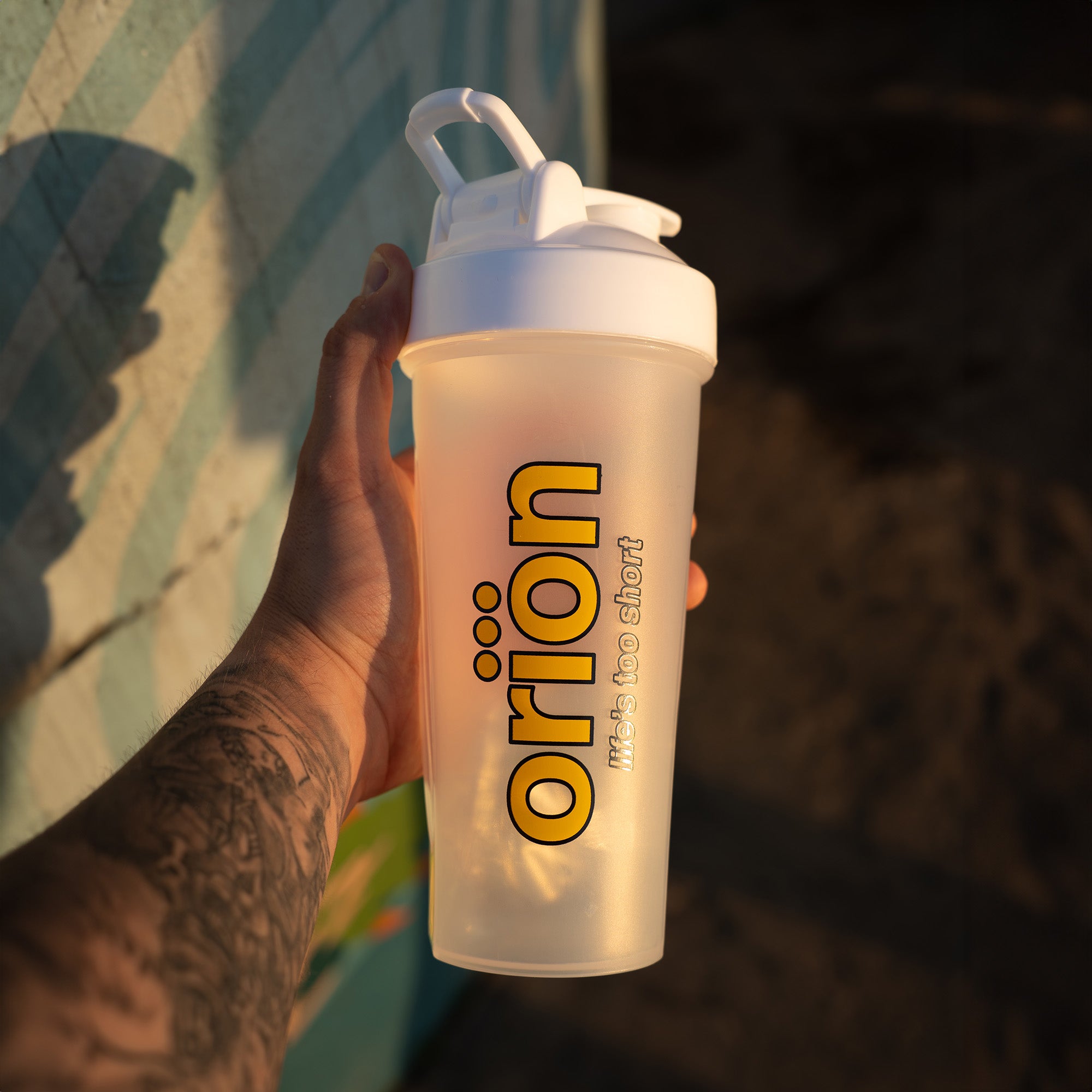 Cinnamon Roll Swirl Whey Isolate